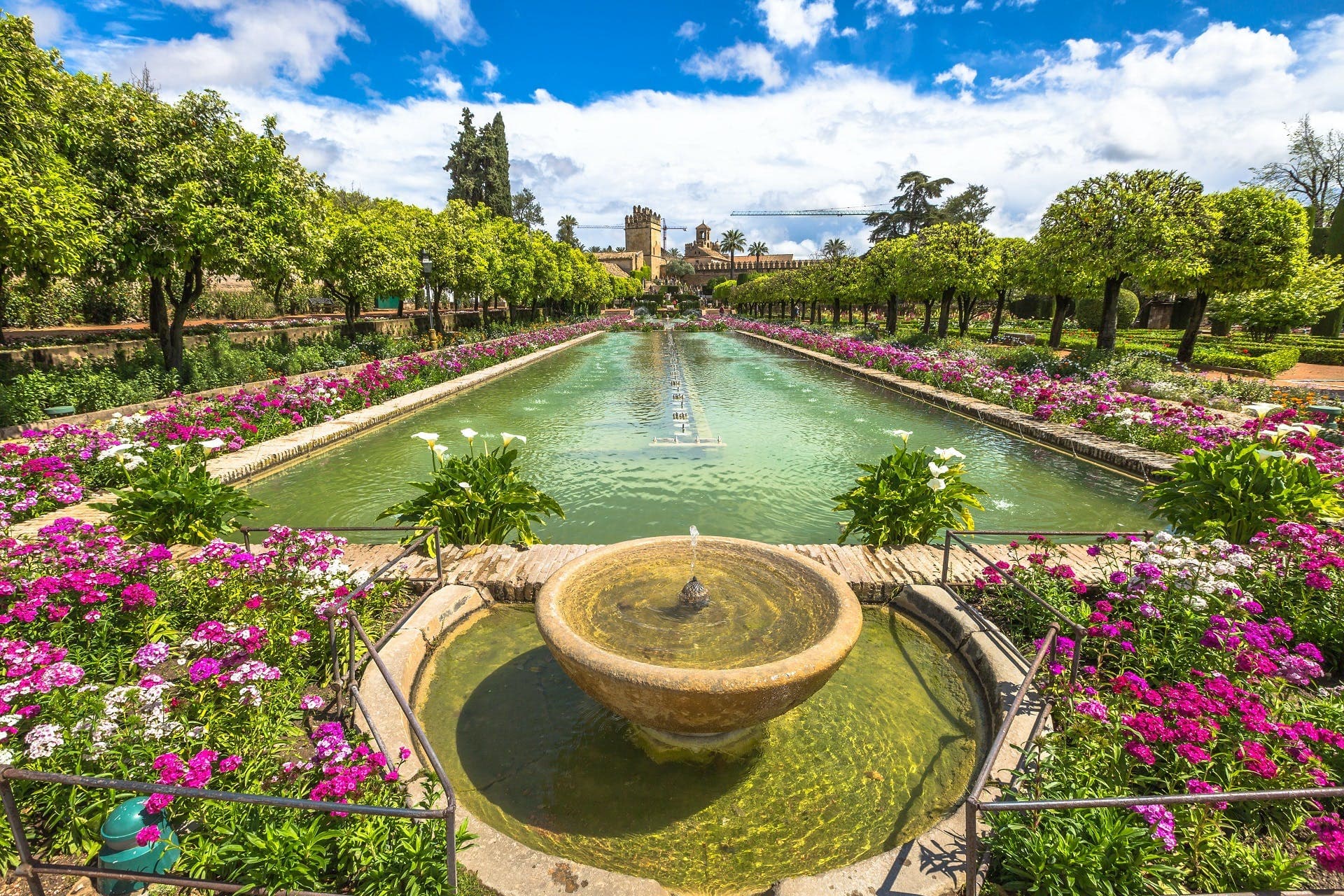 Complete visit from Seville to Cordoba