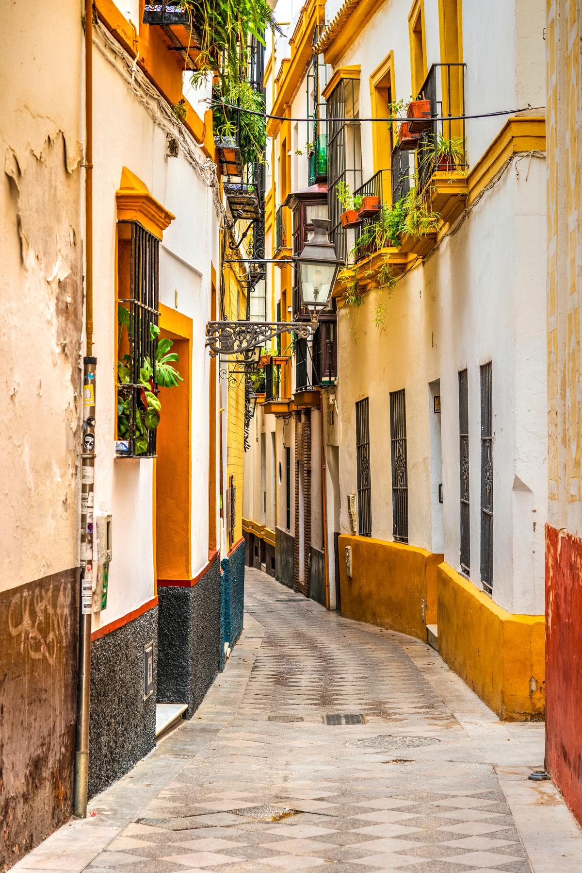 Free Tour Barrio Santa Cruz