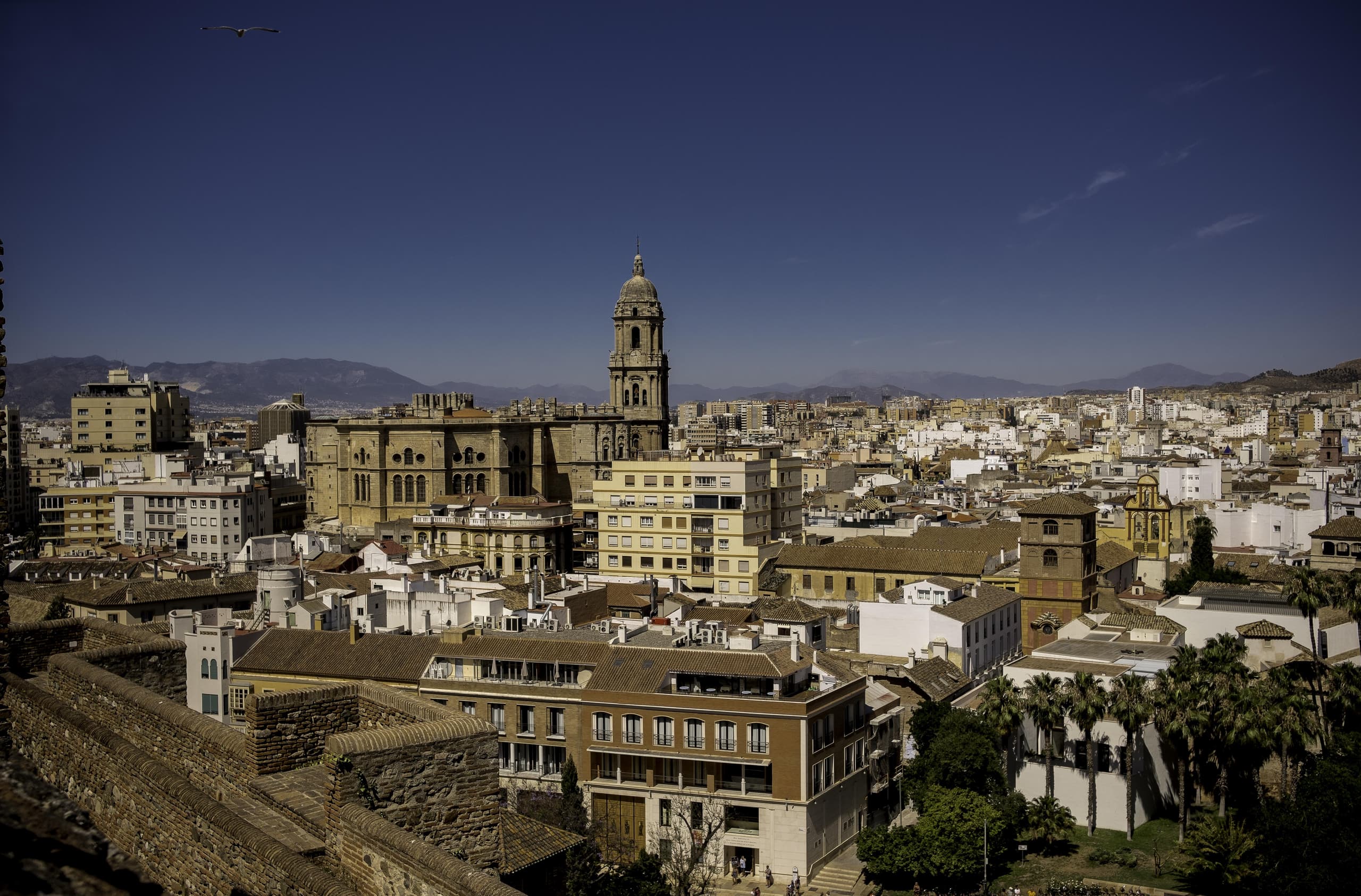 Free tour por Málaga