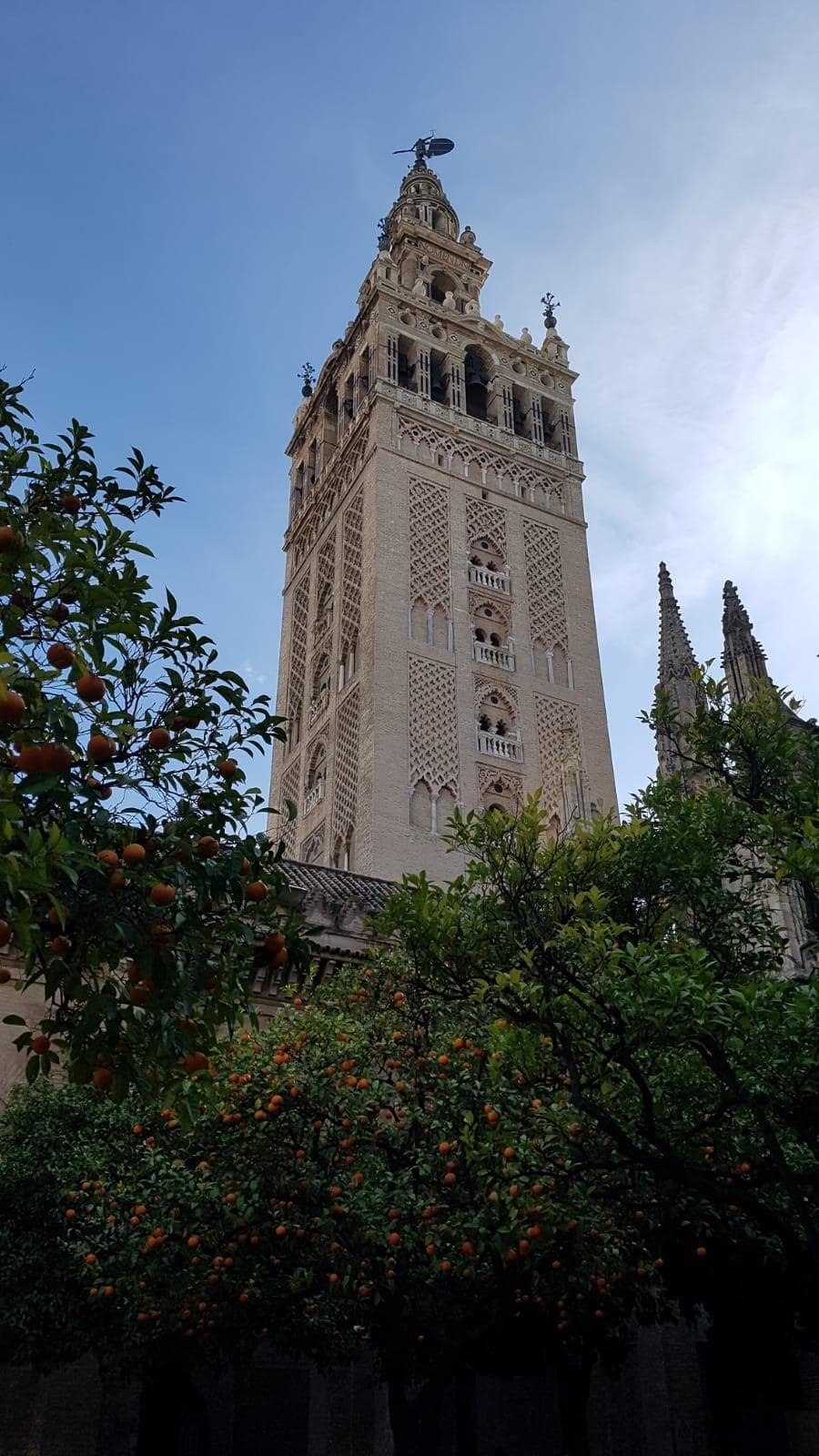 TOUR CATEDRAL Y GIRALDA