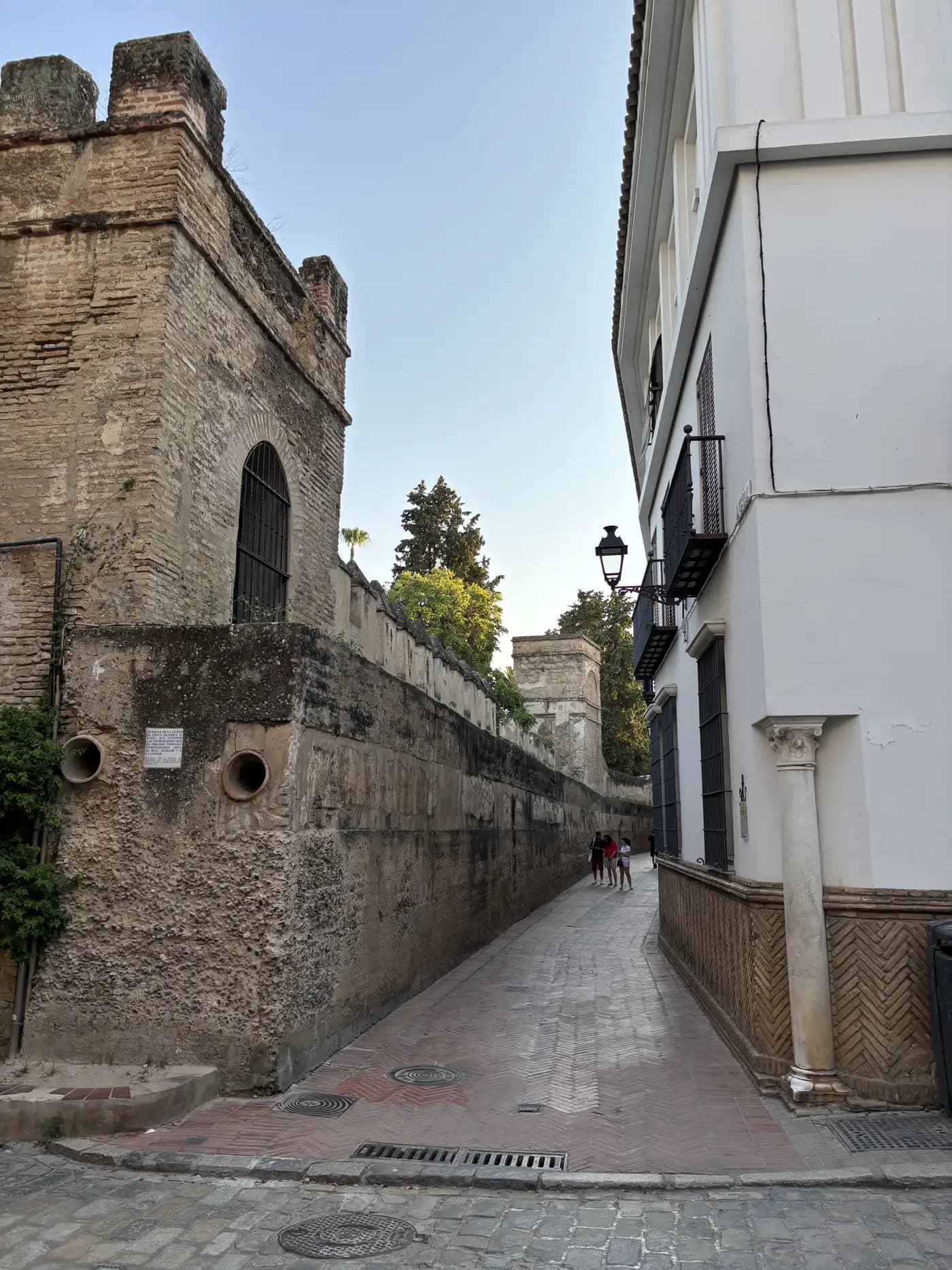 Tour privado por Sevilla | Sevilla a pie