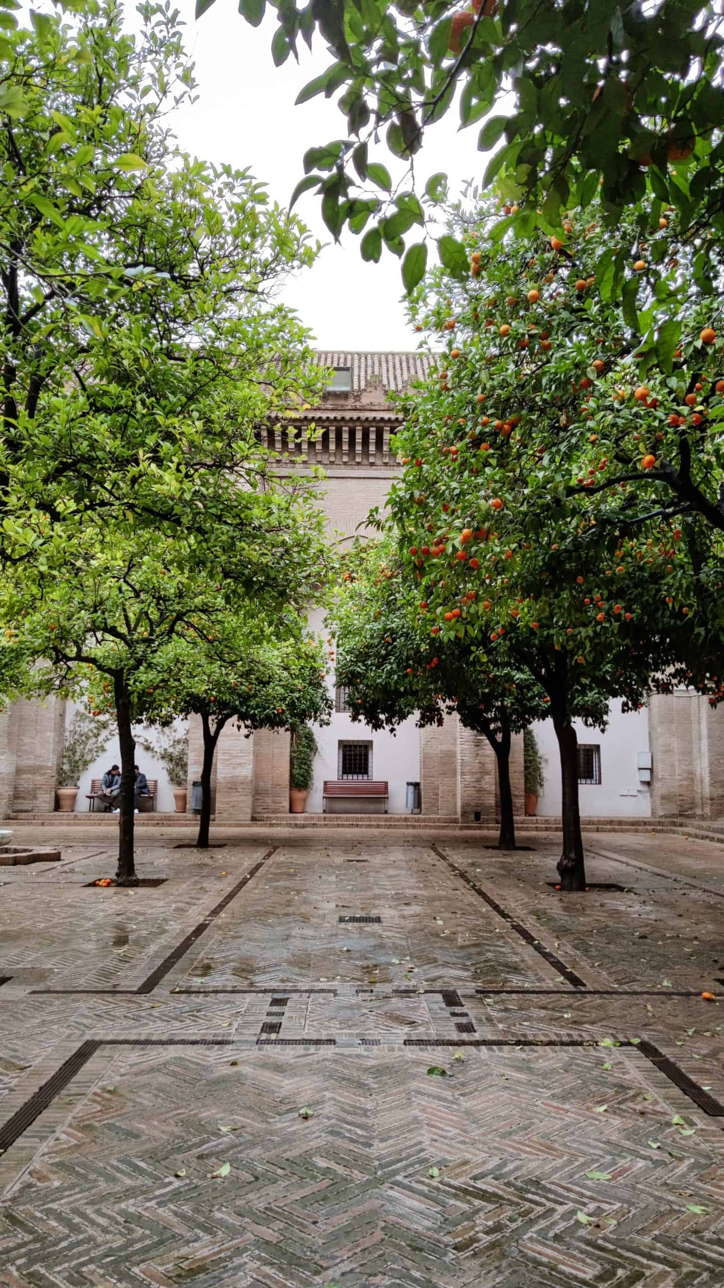 Sevilla 3